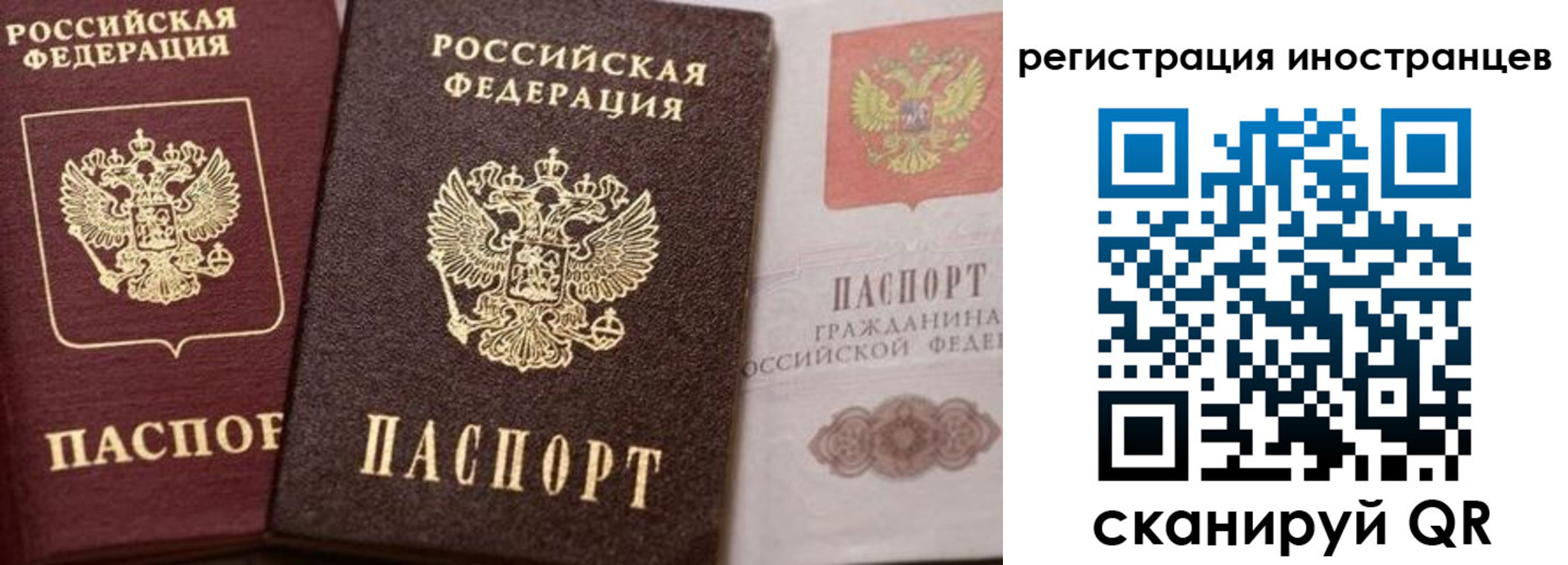временная регистрация купить в Ершове